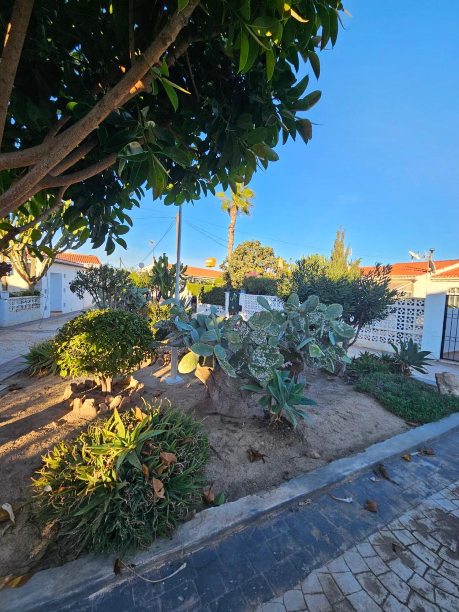 Holiday Apartments Torrevieja Exterior foto